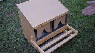 Деревянный гнездовой ящик для кур  на два гнезда с яйцесборником