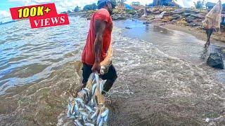 Unbelievable Fish Catch Incredible Cast Net Fishing