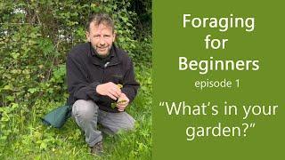 Foraging For Beginners. Episode 1. Garden Weeds