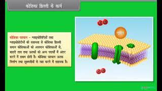 Hindi Medium  Class 11  Biology  Cell The Unit of Life III  CBSE  ICSE  Free Tutorial