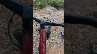 Горный велосипед в каменистых горах. Велоспорт. ВелопокатушкиЭкстрим. MTB fail #shorts