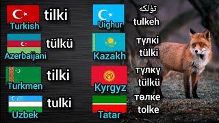 Similarities of 8 Turkic languages  8 Türk dilinin benzerlikleri Тюркские языки  لغات تركية