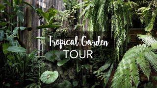 Tropical Garden Tour with Exotic Tropical Plants with plant names