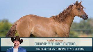 The Reactive vs Thinking State of Mind - The Philosophy Behind the Downunder Horsemanship Method