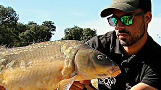 INICIACION AL CARPFISHING - TUTORIAL  HD