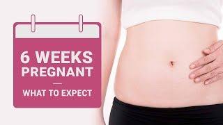 6 Week Pregnant -  What to Expect?