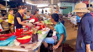 BiBi is shy when many people come to get to know him - Selling vegetables at the market