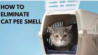 HOW TO GET RID OF CAT URINE SMELL IN THE HOUSE  7 HOME REMEDIES