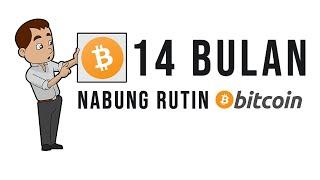 BULAN KE-14 NABUNG RUTIN BITCOIN  CRYPTOCURRENCY