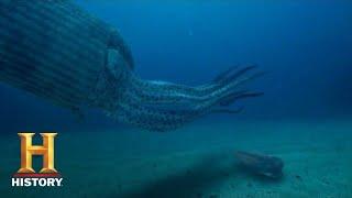 Ancient Aliens GIANT SQUID LINKED TO DEEP SEA ALIEN LIFE Season 14  History