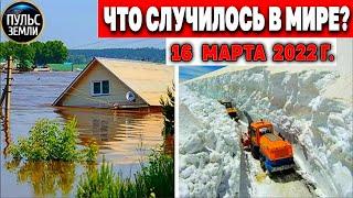 Катаклизмы за день 16 МАРТА 2022 Пульс Земли #flooding #снегопад катаклизмы сегодня наводнение