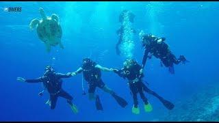 Египет Дахаб Блю Хол Каньон Тистельгорм клуб Divers Август 2017