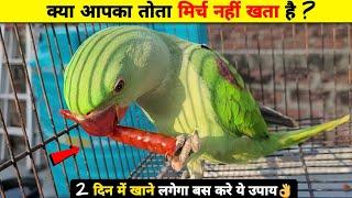 तोता मिर्च क्यू नहीं खाता है  Parrot do not want to eat Green chilli #birdscareandinfo