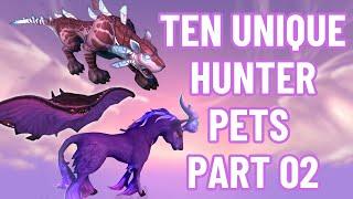 10 Unique Hunter Pet Tames  4k World of Warcraft  Dragonflight