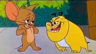 Tom And Jerry English Episodes - The Cat’s Me Ouch - Cartoons For Kids