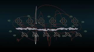 LFE Graphic Notation Loop 1hour version