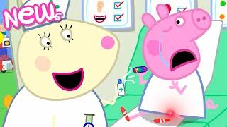 Peppa Pig Tales 🩹 The First Aid Room  BRAND NEW Peppa Pig Episodes