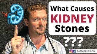 Secret Cause of Kidney Stones your Doctor Doesnt Know 2024