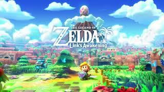 Catfishs Maw Dungeon 5 - The Legend of Zelda Links Awakening Switch Music Extended