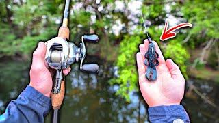 The Best Spring Fishing Lure To Catch MORE Bass Bed Fish