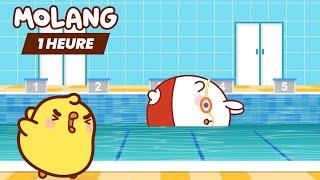 Molang et Piu Piu  Le Grand Entraînement de Natation   Dessin animé pour les enfants