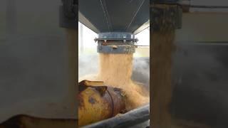 A SOLID FLOW is key to a grain bin 