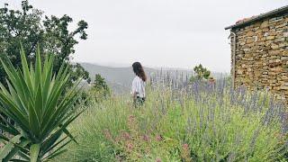 #97 Lush Mediterranean Garden One Year Later  Renovating our Abandoned Stone House in Italy