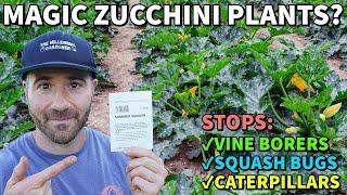 This ZUCCHINI EXPERIMENT Promised LIFE CHANGING Results Did It Work?