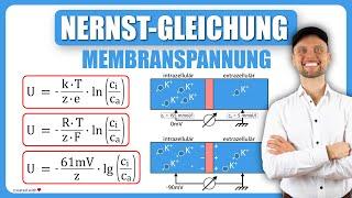 Nernst-Gleichung Physiologie - Membranspannung  Physikum M1 Übungsaufgaben