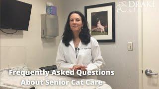 Frequently Asked Questions About Senior Cats