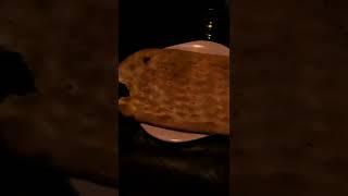 Famous Kandhari Naan and Grilled Fish #grill #fish #naan #grilledfish #dinner #charsitikka #yummy