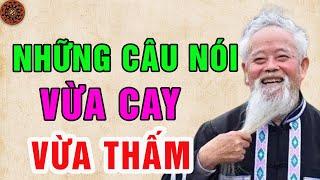 Những Câu Nói Vừa Cay Vừa Thấm Về Cuộc Đời - Càng Nghe Càng Thấm