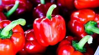 Bell Peppers 12 Amazing Health Benefits For Your Health  Health And Nutrition