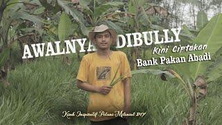 Awalnya DibullyKini Petani Milenial DIY Sukses Ciptakan Bank Pakan @DPKPDIY #petanimilenialdiy