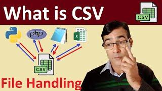 What is CSV files and what is used for  How to convert excel file to CSV format  File Handling