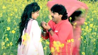 ओढ़नी से निकाल के  Gadar  #Pawan Singh  Full Songs  #Bhojpuri Song 2024