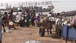Voyage  Port de pêche de MBour au Sénégal