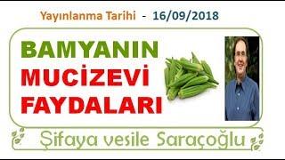 BAMYANIN MUCİZEVİ FAYDALARI  Şifaya vesile Saraçoğlu