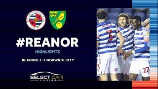 READING 1-1 NORWICH  Hendrick strikes for well-merited point against high-flying Canaries