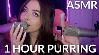 ASMR 1 Hour Of Amazing Purring To Help You Sleep 