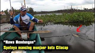 Mancing nila paling gampang di kota Cilacap ya di Rawa Bendungan