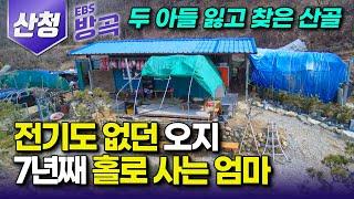 경남 산청 전기도 없는 외딴 황무지를 7년간 홀로 개척해 자신만의 왕국을 만든 여자┃두 아들을 동시에 잃은 엄마의 상처를 치유한 오지┃산중 봄나물 밥상┃#한국기행 #방방곡곡