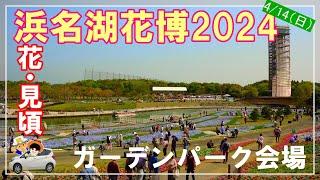 【浜名湖花博2024】日曜日のガーデンパーク会場の渋滞、混雑、開花状況を確認しに行って来ました。渋滞を抜けたその先に待っていたものは？花々が微笑む花園だった？