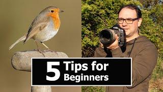 Wildlife Photography for BEGINNERS 5 TIPS with Paul Miguel Photography