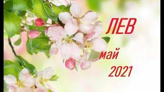 лев май 2021 г.