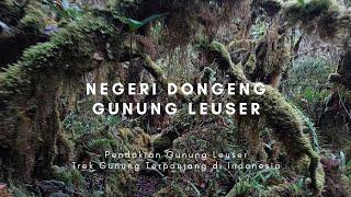 GUNUNG LEUSER PENDAKIAN PANJANG 12 HARI DI HUTAN