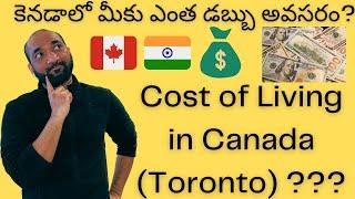 Telugu Vlog #18  Cost of Living in Canada Toronto  కెనడాలో జీవన వ్యయం #canadateluguvlogs