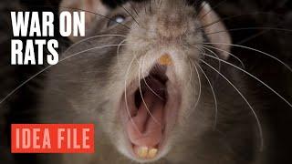 The Rat Apocalypse in New Zealand