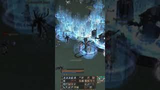 Lineage2Classic its raining men near LOA #shorts