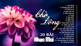 20 Bài Nhạc Mùi Nghe Ghiền Mãi Không Quên - LK Nhạc Vàng Hải Ngoại Chờ Đông Đường Xưa Lối Cũ